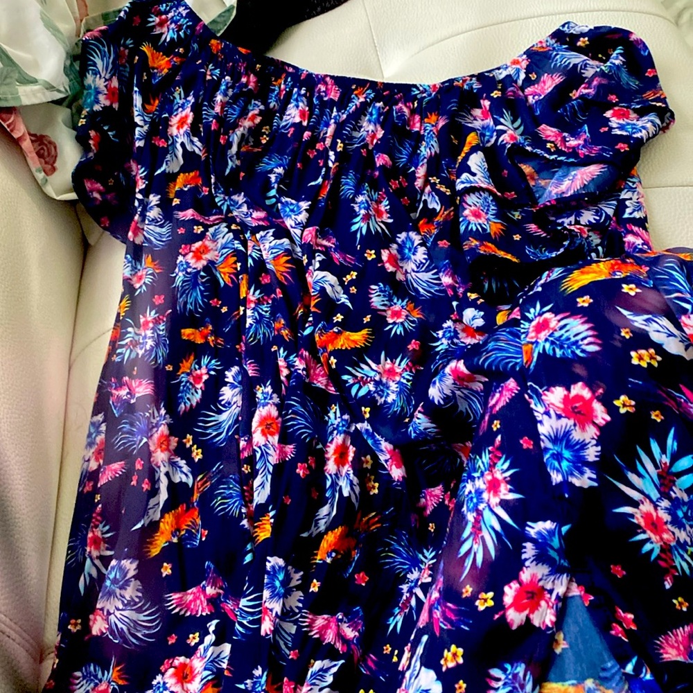 NWOT Terra sky  shirt